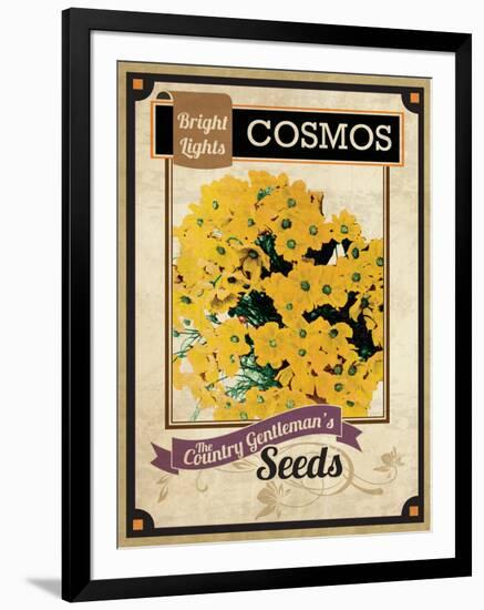 Seed Packet - Cosmos-The Saturday Evening Post-Framed Giclee Print