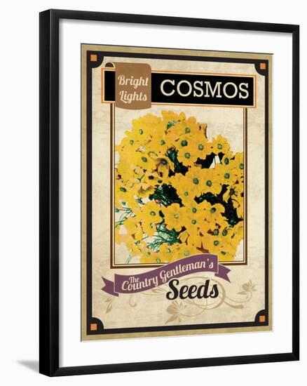 Seed Packet - Cosmos-The Saturday Evening Post-Framed Giclee Print