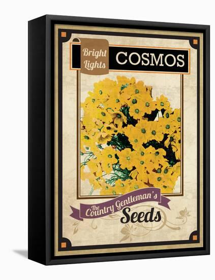 Seed Packet - Cosmos-The Saturday Evening Post-Framed Stretched Canvas