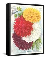 Seed Packet, Dahlias-null-Framed Stretched Canvas