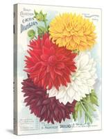 Seed Packet, Dahlias-null-Stretched Canvas