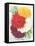 Seed Packet, Dahlias-null-Framed Stretched Canvas