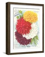 Seed Packet, Dahlias-null-Framed Art Print