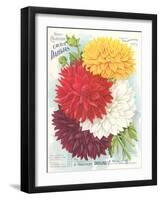 Seed Packet, Dahlias-null-Framed Art Print