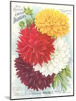 Seed Packet, Dahlias-null-Mounted Art Print