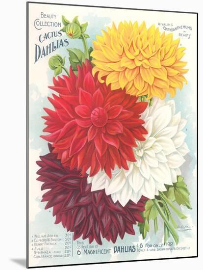 Seed Packet, Dahlias-null-Mounted Art Print