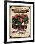 Seed Packet - Geranium-The Saturday Evening Post-Framed Giclee Print