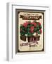 Seed Packet - Geranium-The Saturday Evening Post-Framed Giclee Print