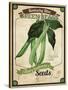 Seed Packet - Greenbeans-The Saturday Evening Post-Stretched Canvas