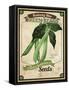 Seed Packet - Greenbeans-The Saturday Evening Post-Framed Stretched Canvas