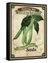 Seed Packet - Greenbeans-The Saturday Evening Post-Framed Stretched Canvas