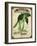 Seed Packet - Greenbeans-The Saturday Evening Post-Framed Giclee Print