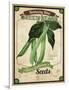 Seed Packet - Greenbeans-The Saturday Evening Post-Framed Premium Giclee Print