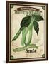 Seed Packet - Greenbeans-The Saturday Evening Post-Framed Premium Giclee Print