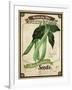 Seed Packet - Greenbeans-The Saturday Evening Post-Framed Giclee Print