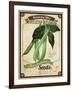 Seed Packet - Greenbeans-The Saturday Evening Post-Framed Giclee Print