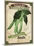 Seed Packet - Greenbeans-The Saturday Evening Post-Mounted Giclee Print