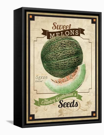 Seed Packet - Melon-The Saturday Evening Post-Framed Stretched Canvas