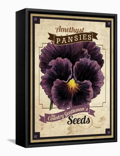 Seed Packet - Pansy-The Saturday Evening Post-Framed Stretched Canvas