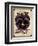 Seed Packet - Pansy-The Saturday Evening Post-Framed Giclee Print