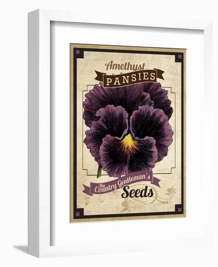 Seed Packet - Pansy-The Saturday Evening Post-Framed Giclee Print