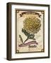 Seed Packet - Poppy-The Saturday Evening Post-Framed Giclee Print