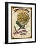 Seed Packet - Poppy-The Saturday Evening Post-Framed Giclee Print
