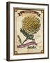 Seed Packet - Poppy-The Saturday Evening Post-Framed Giclee Print