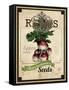 Seed Packet - Radish-The Saturday Evening Post-Framed Stretched Canvas