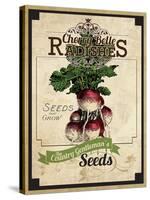 Seed Packet - Radish-The Saturday Evening Post-Stretched Canvas