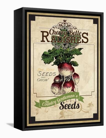 Seed Packet - Radish-The Saturday Evening Post-Framed Stretched Canvas