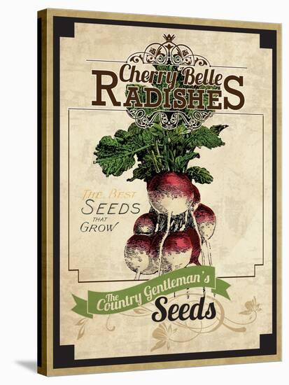 Seed Packet - Radish-The Saturday Evening Post-Stretched Canvas