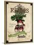 Seed Packet - Radish-The Saturday Evening Post-Stretched Canvas