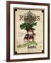 Seed Packet - Radish-The Saturday Evening Post-Framed Giclee Print