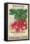 Seed Packet, Radishes-null-Framed Stretched Canvas