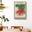 Seed Packet, Radishes-null-Framed Stretched Canvas displayed on a wall