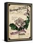 Seed Packet - Roses-The Saturday Evening Post-Framed Stretched Canvas