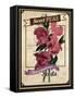 Seed Packet - Sweet Peas-The Saturday Evening Post-Framed Stretched Canvas