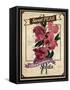 Seed Packet - Sweet Peas-The Saturday Evening Post-Framed Stretched Canvas