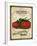 Seed Packet - Tomatoes-The Saturday Evening Post-Framed Giclee Print