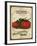 Seed Packet - Tomatoes-The Saturday Evening Post-Framed Giclee Print