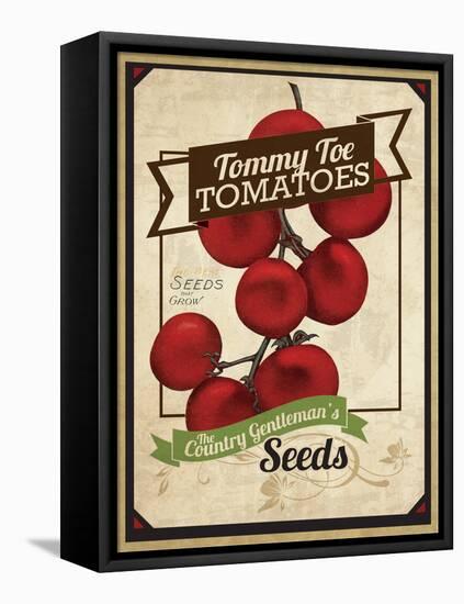 Seed Packet - TommyToes-The Saturday Evening Post-Framed Stretched Canvas