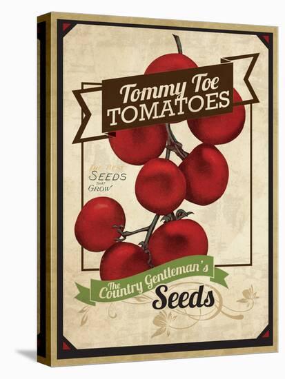 Seed Packet - TommyToes-The Saturday Evening Post-Stretched Canvas