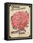 Seed Packet - Woolflower-The Saturday Evening Post-Framed Stretched Canvas