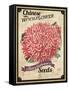 Seed Packet - Woolflower-The Saturday Evening Post-Framed Stretched Canvas