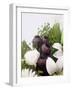 Seed Pod Bouquet, 1999-Norman Hollands-Framed Photographic Print