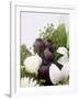 Seed Pod Bouquet, 1999-Norman Hollands-Framed Photographic Print