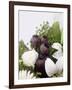 Seed Pod Bouquet, 1999-Norman Hollands-Framed Photographic Print