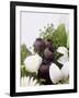 Seed Pod Bouquet, 1999-Norman Hollands-Framed Photographic Print