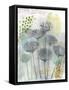 Seed Pod Composition I-Naomi McCavitt-Framed Stretched Canvas